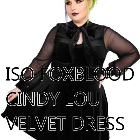 ISO FOXBLOOD CINDY LOU M - Picture 1 of 1